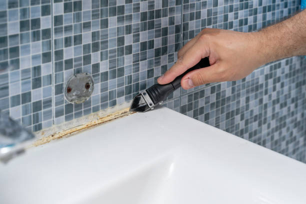 Best Basement Mold Remediation in Tacoma, WA